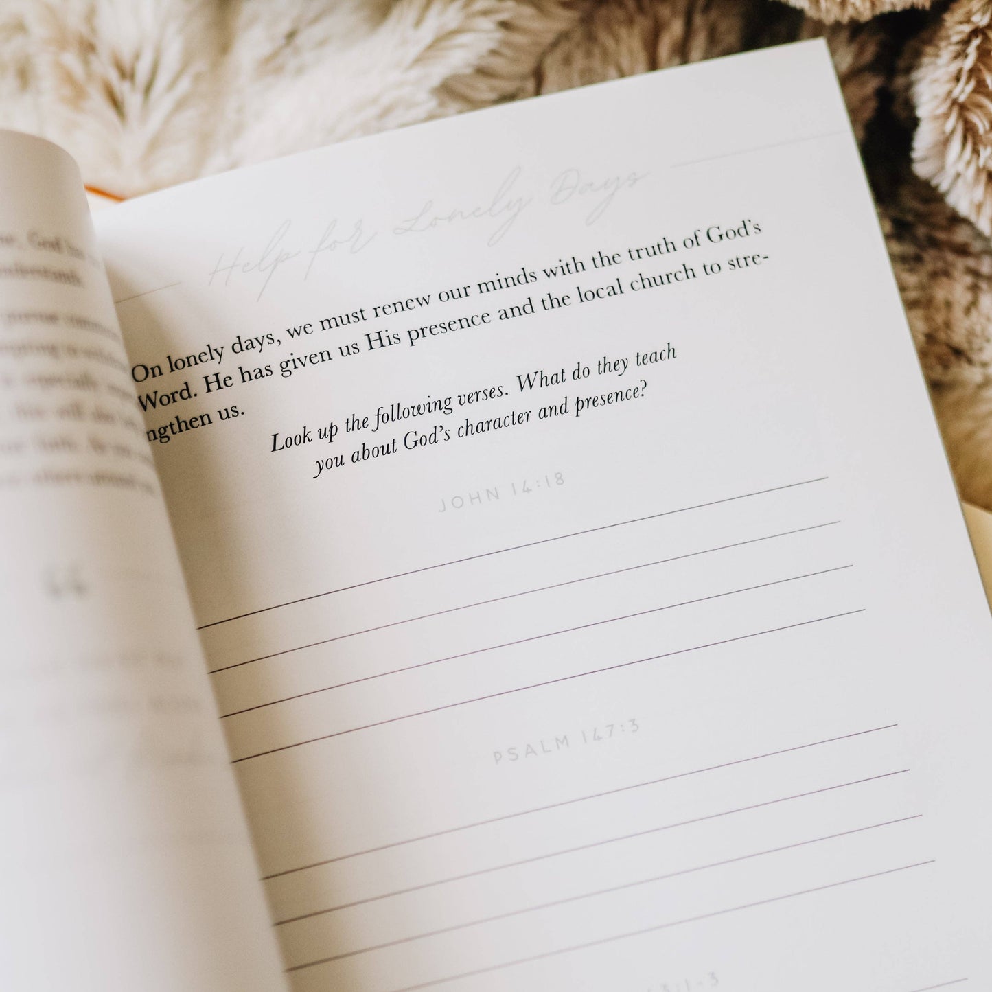 Bible Study: Gospel Hope in Grief and Loss