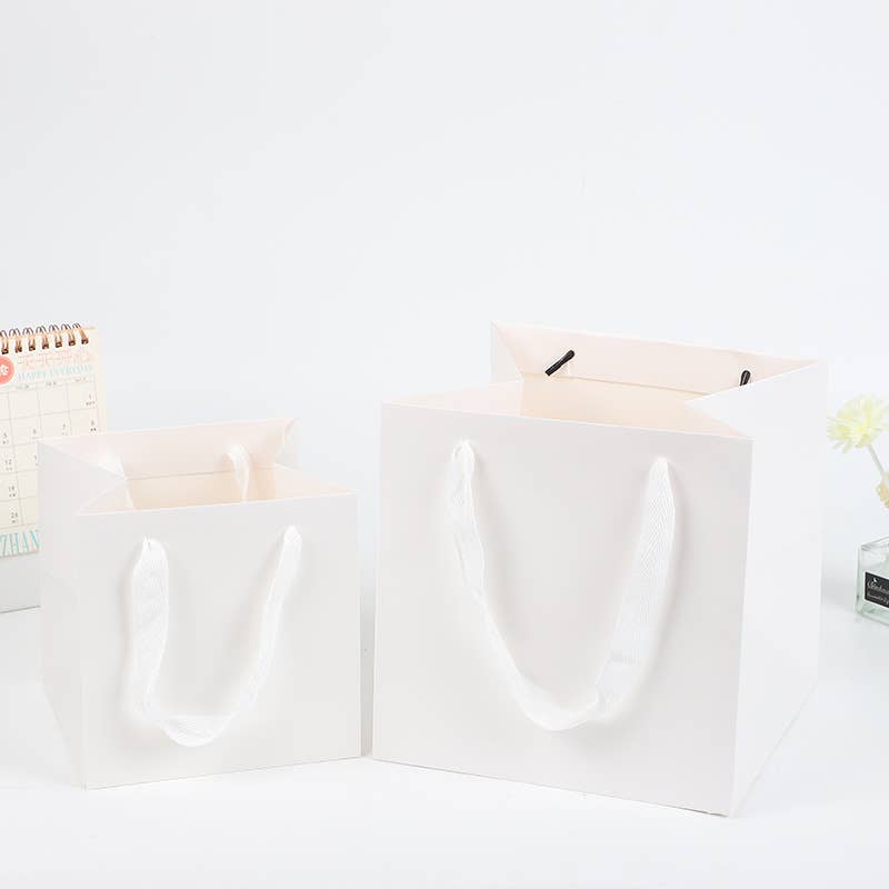 Square white paper gift bag with free tissue