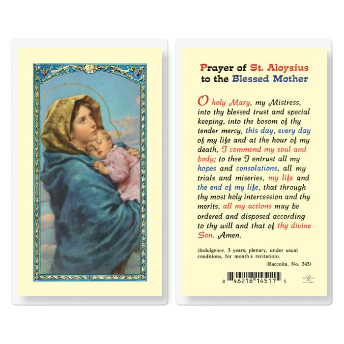 Holy Card - Laminated - Madonna of the Street St Aloysius