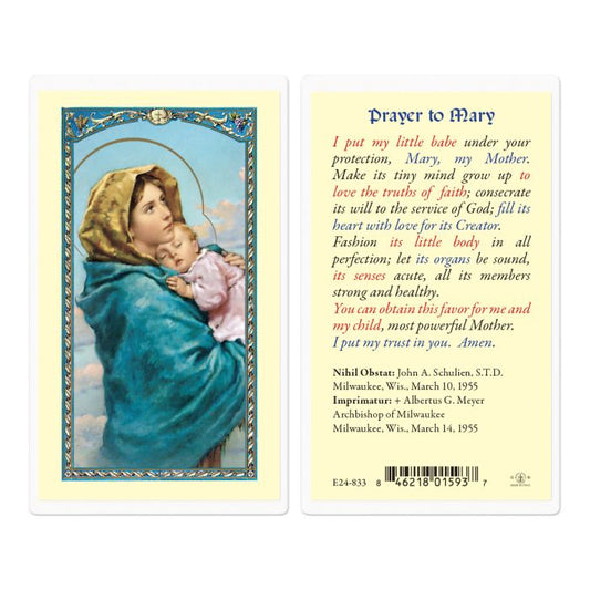 Holy Card - Laminated - Prayer to Mary the Madonna of the Street