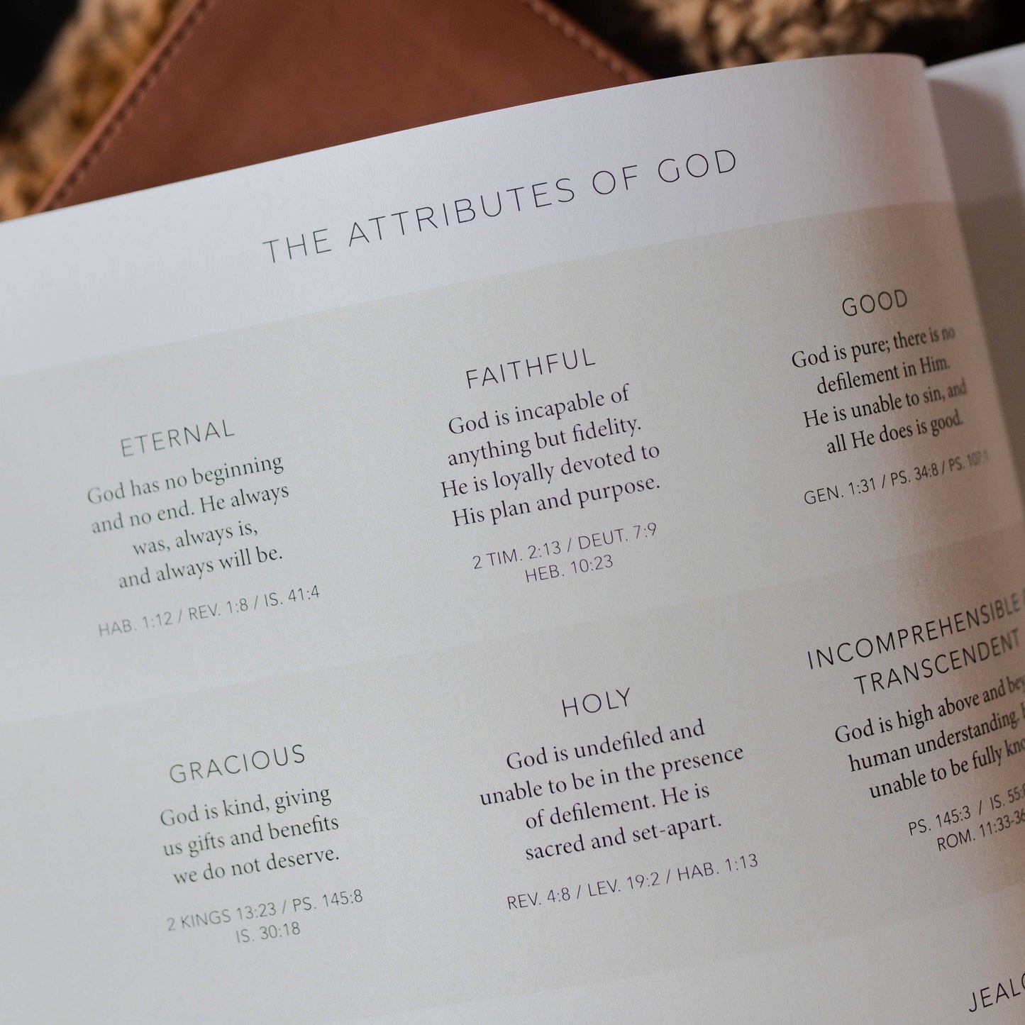 Bible Study: Esther | Seeing God When He Is Silent