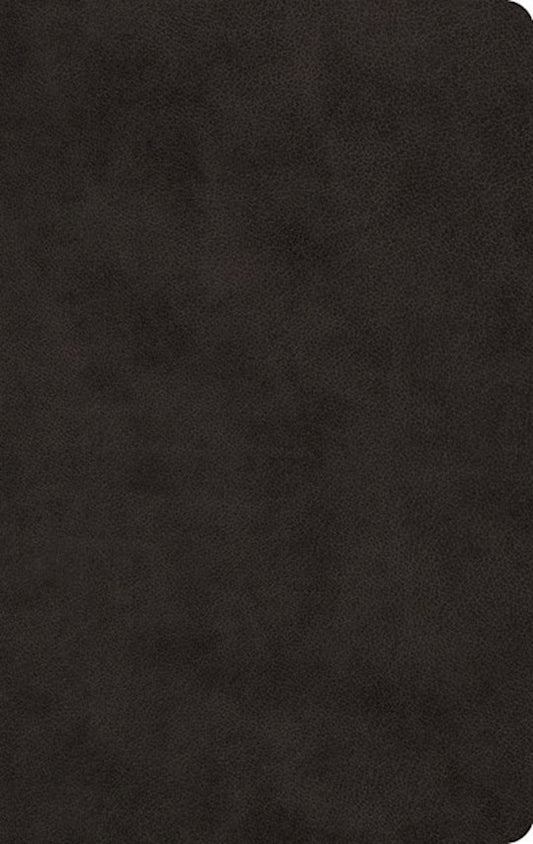 ESV Large Print Value Thinline Bible-Black