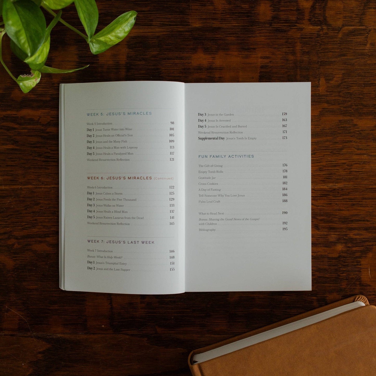 Walking With Jesus Family Lent Devotional