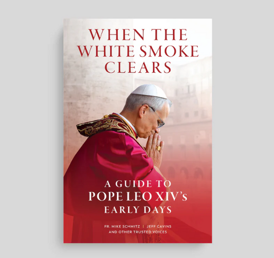 When the White Smoke Clears, Fr Mike Schmitz and Jeff Cavins